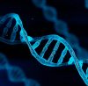 Heritability of dependent and avoidant personality disorder traits