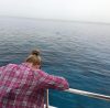 Is Thalassophobia A Very Common Form Of Phobia?