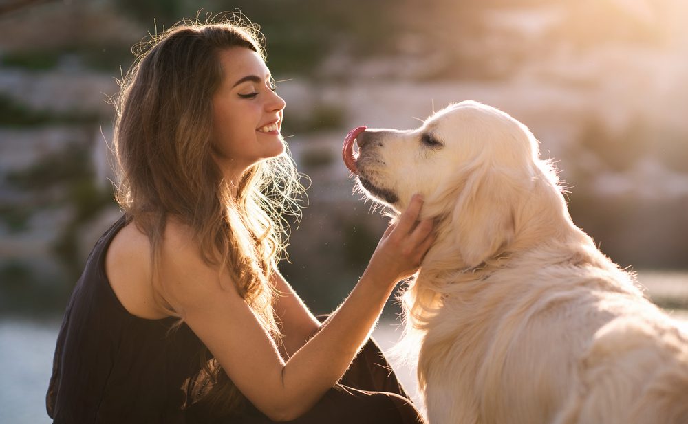Finding Pet-Friendly Rehab Centers For Your Recovery
