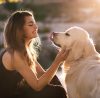 Finding Pet-Friendly Rehab Centers For Your Recovery