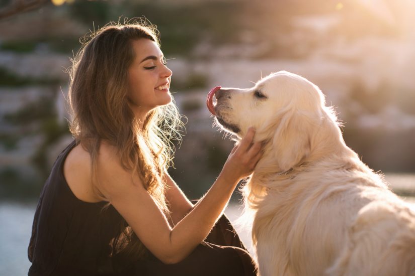 Finding Pet-Friendly Rehab Centers For Your Recovery
