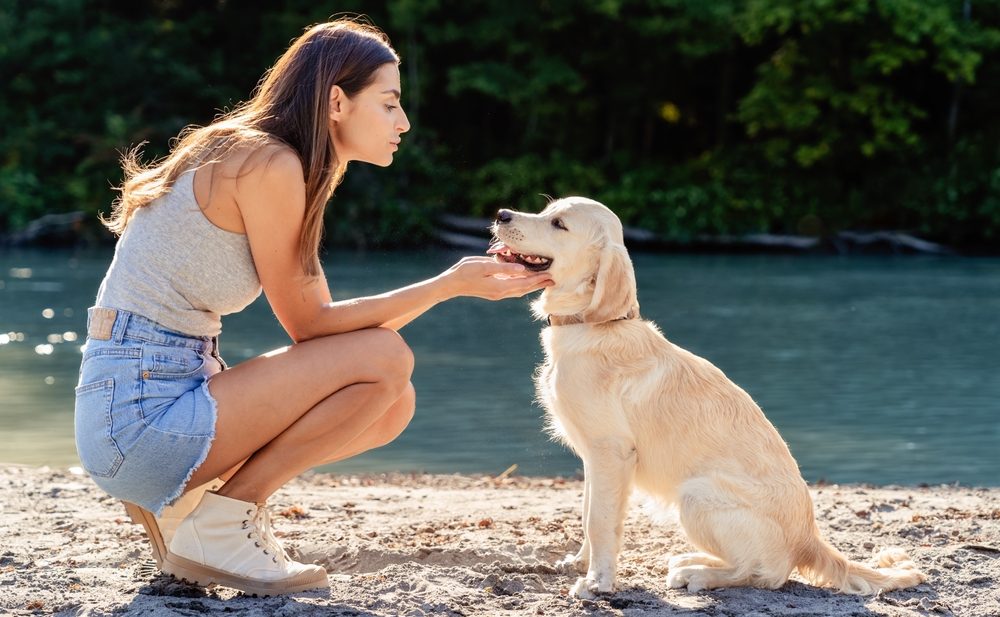 How animals support good mental health