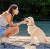 How animals support good mental health