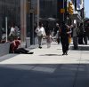 Zombie Drug Xylazine: The Alarming Addiction Crisis Unfolding